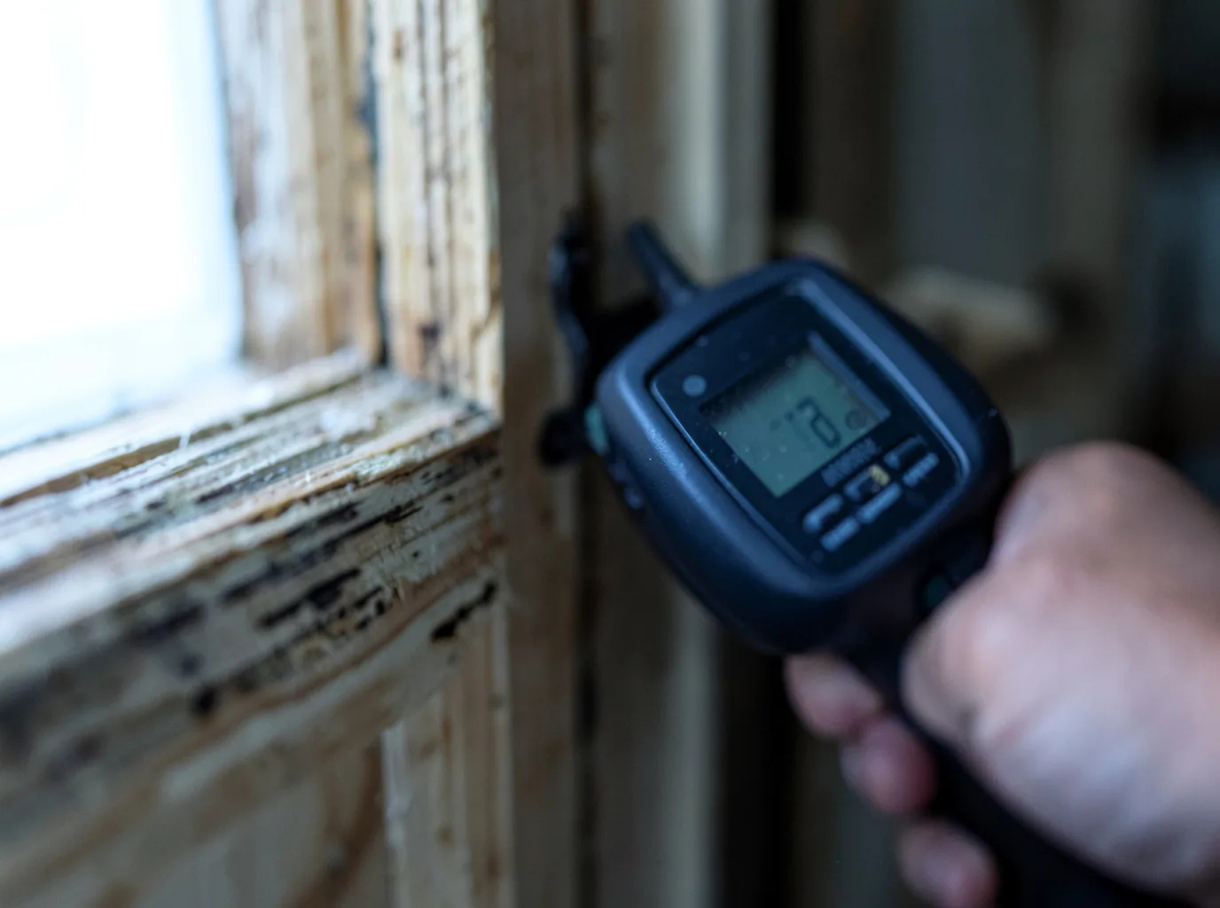 Moisture Inspection And Documentation in Winfield, PA